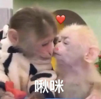202501211452202973.Png